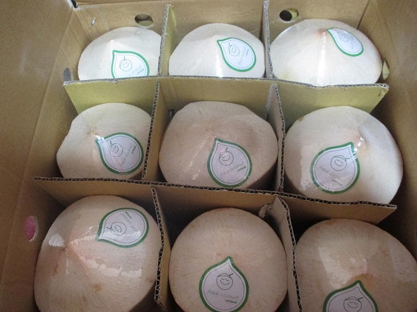 Fresh diamond  coconuts with best price